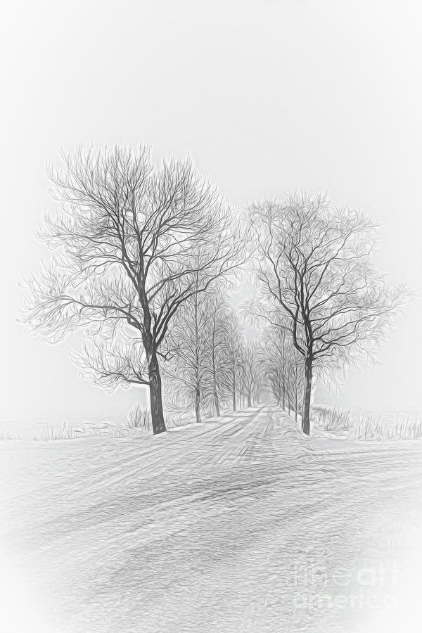 A gray day Digital Art by Veikko Suikkanen - Fine Art America