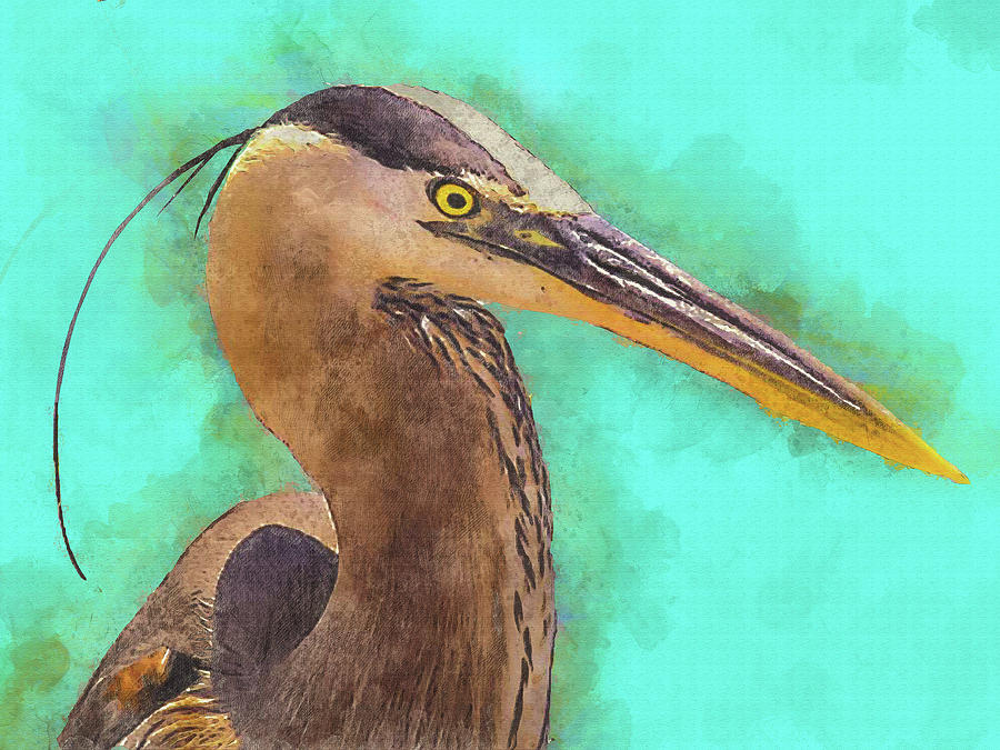 A Great Blue Heron Digital Art by Pheasant Run Gallery