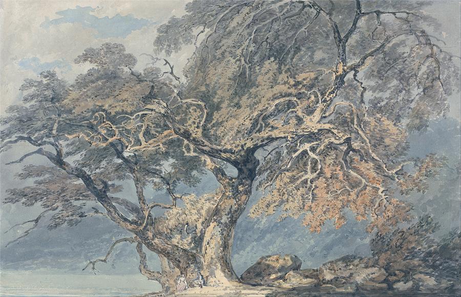 A Great Tree 1796 By J M W Turner 1775 1851 Painting