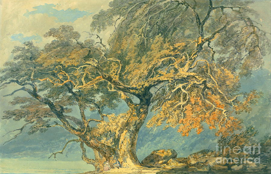 A great tree Painting by William Turner
