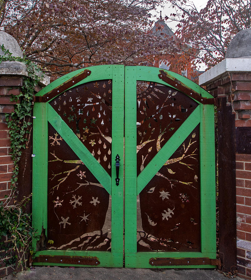 A Green and Brown Gate Photograph by L Bosco