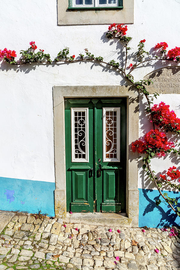 A Green Door with Bougainvillea  Photograph by W Chris Fooshee