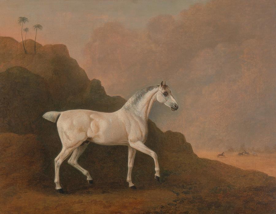 Desert Painting - A Grey Arab Stallion in a Desert Landscape  by John Bolby