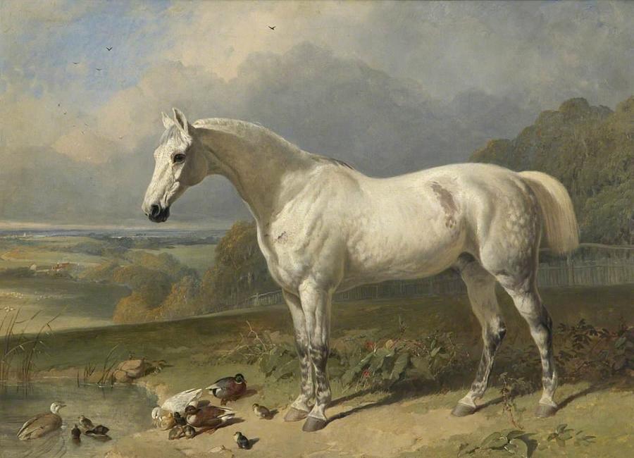 A Grey Horse and Ducks in a Landscape Painting by John Frederick ...