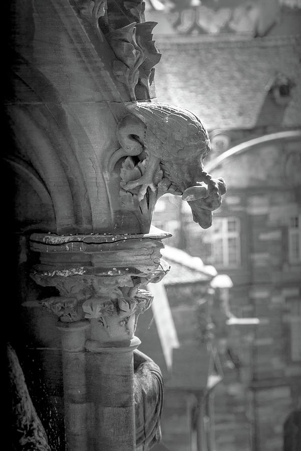 A Grotesque in Strasbourg - 1 Photograph by W Chris Fooshee