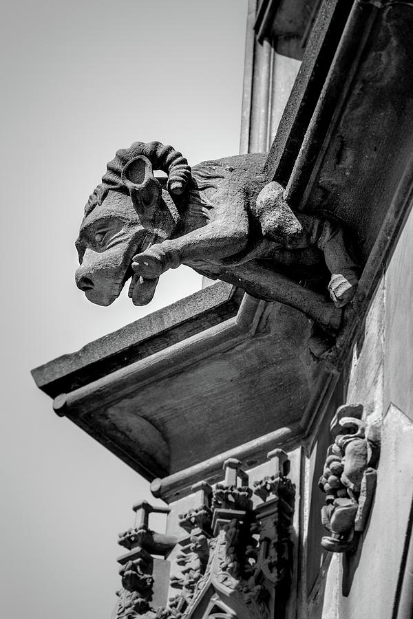 A Grotesque in Strasbourg - 2 Photograph by W Chris Fooshee