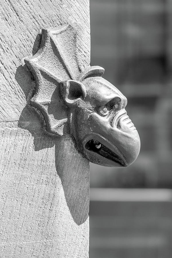 A Grotesque in Strasbourg - 3 Photograph by W Chris Fooshee