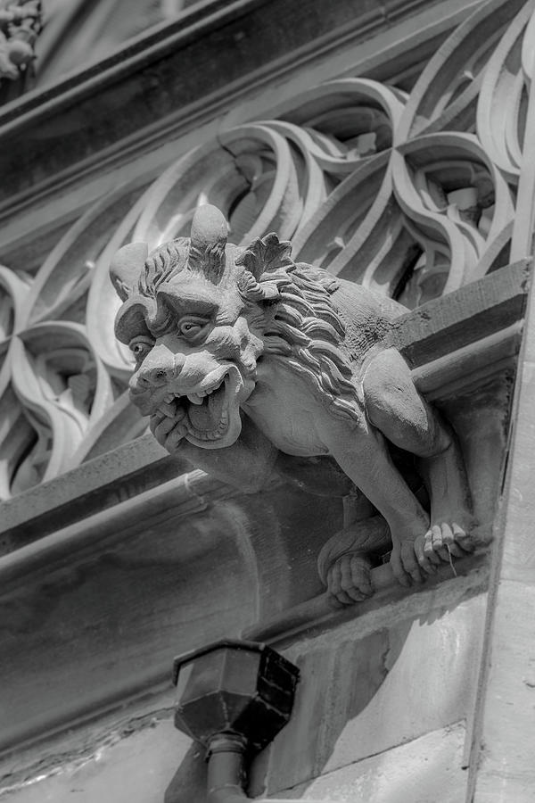 A Grotesque in Strasbourg - 6 Photograph by W Chris Fooshee A Grotesque in Strasbourg - 6 Photograph by W Chris Fooshee