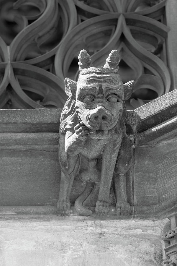 A Grotesque in Strasbourg - 8 Photograph by W Chris Fooshee