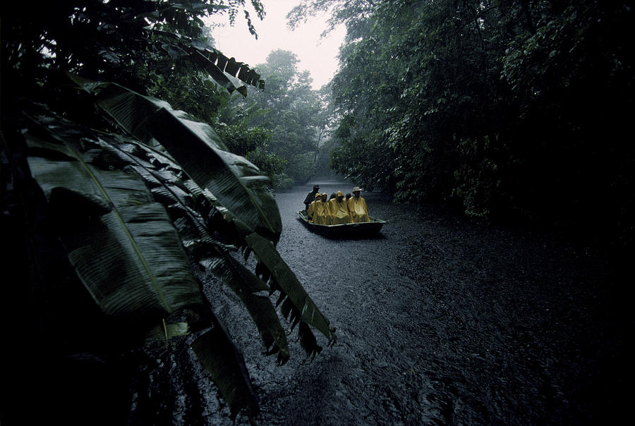 A group of people sailing in the stream amidst forest, Costa Rica, Africa. Photograph by Jose Azel