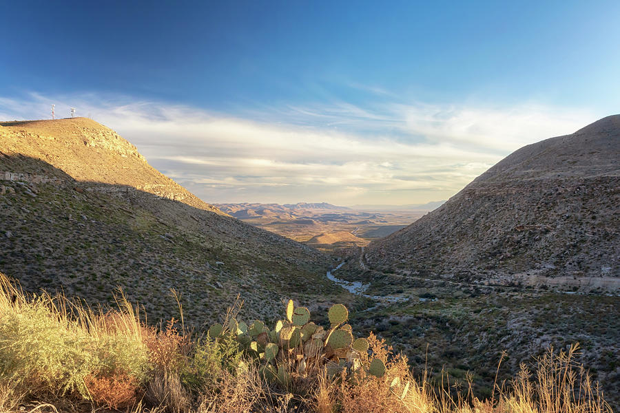 A Guadalupe Mountains National Park View Photograph by Susan Rissi Tregoning