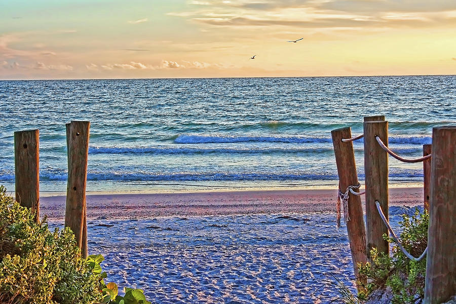A Gulf Welcome Photograph by HH Photography of Florida