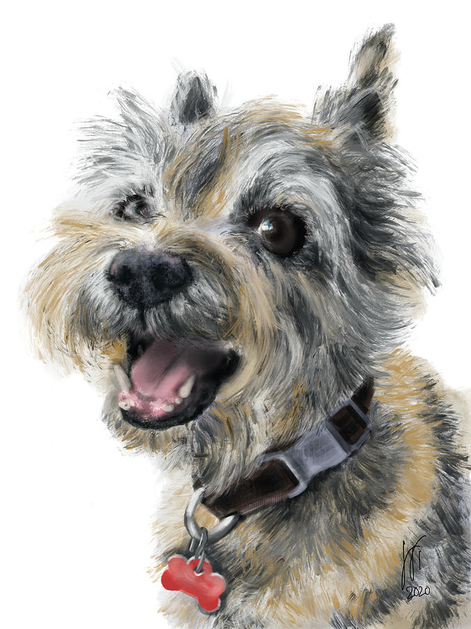 A Happy Cairn Terrier Painting by Lois Ivancin Tavaf