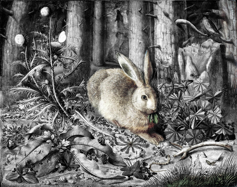 A Hare in the Forest Colorized Painting by Bob Pardue