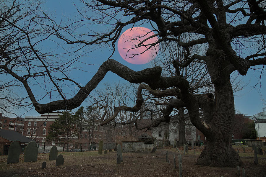 A Harvest Moon over Salem Photograph by Jeff Folger