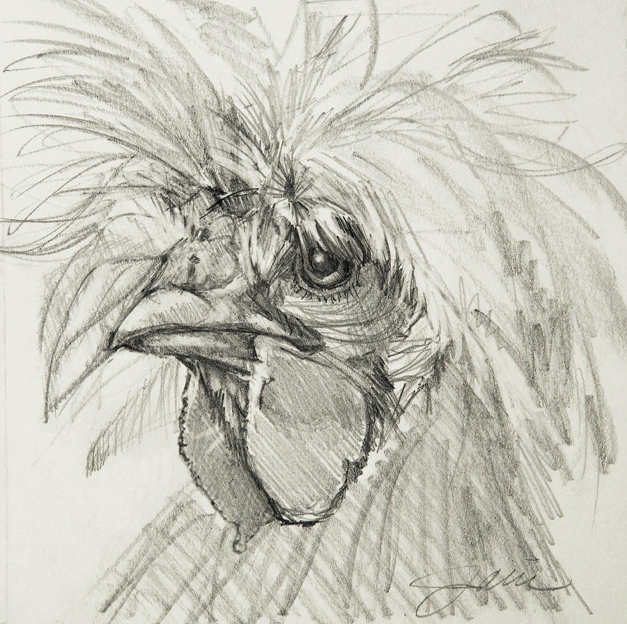 Chicken Drawing - A Haute Chick Named Louise by Jani Freimann