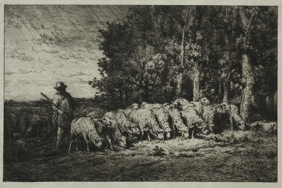 A Herd at the Edge of a Forest 1880 Charles Jacque French 1813 to 1894 Painting by MotionAge Designs