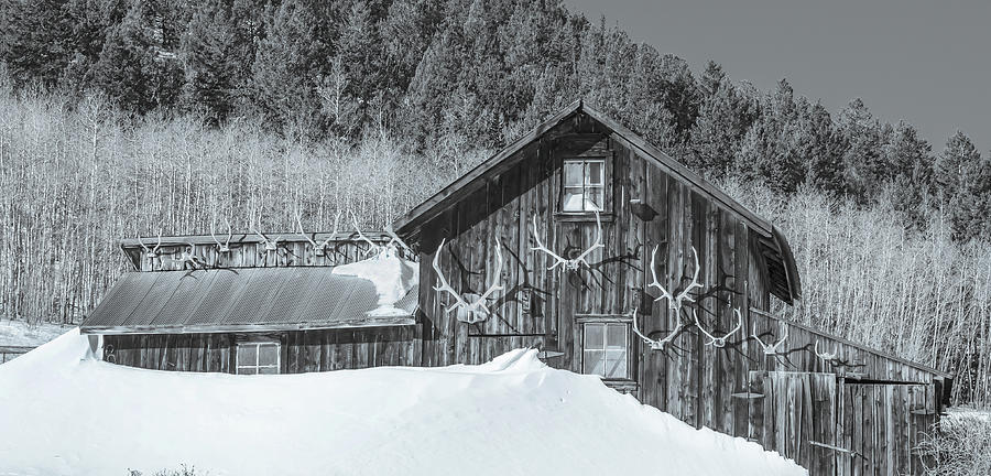A Hibernal Accumulation, The Ghost Town Of Como, Park County, Colorado Photograph by Bijan Pirnia
