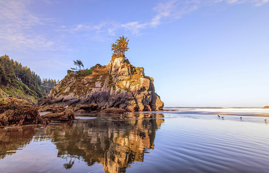 A Hidden Beach Reflection Northern California Coast Photograph by Joseph S Giacalone