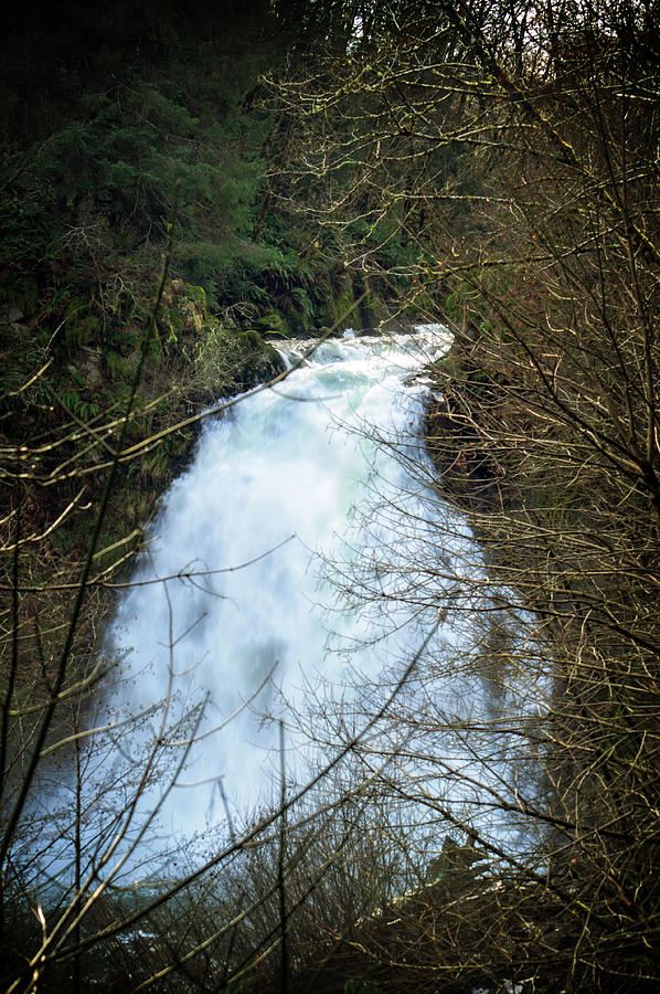 A Hidden Falls Photograph by Tikvahs Hope