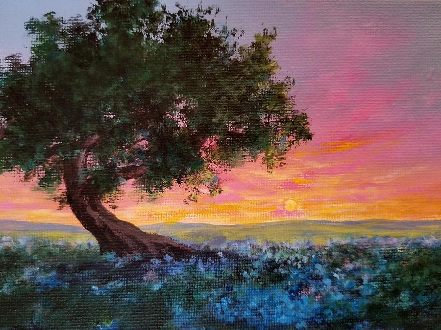 A Hill Country Sunset Painting by Roseanne Schellenberger