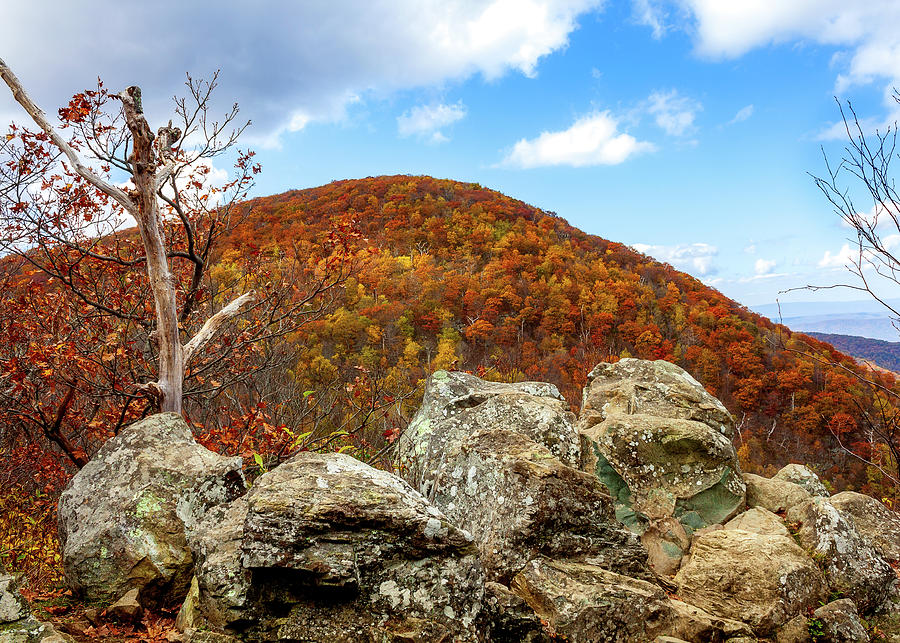 A Hogback Mountain View Photograph by David Beard - Fine Art America