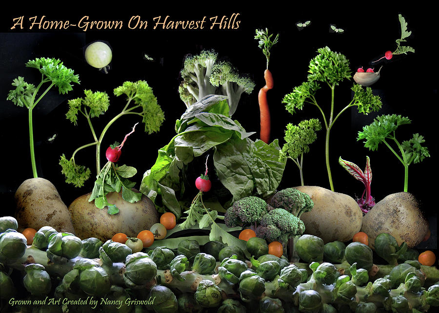 A Home Grown on Harvest Hills Digital Art by Nancy Griswold