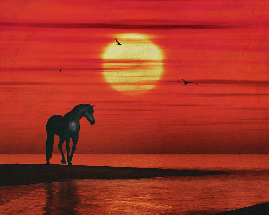 A horse watching the sunset over the sea Painting by Jan Keteleer