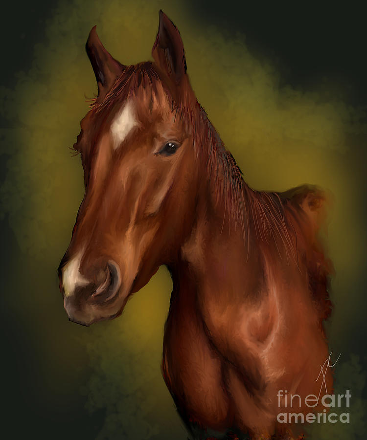 A Horse with no name Digital Art by Darren Cannell