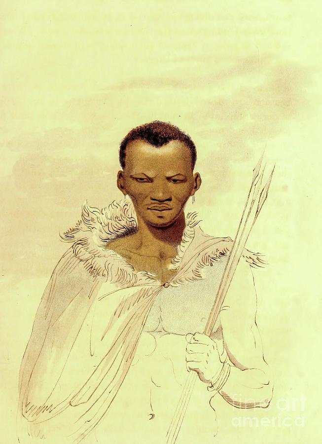 A Hottentot Man R2 Drawing