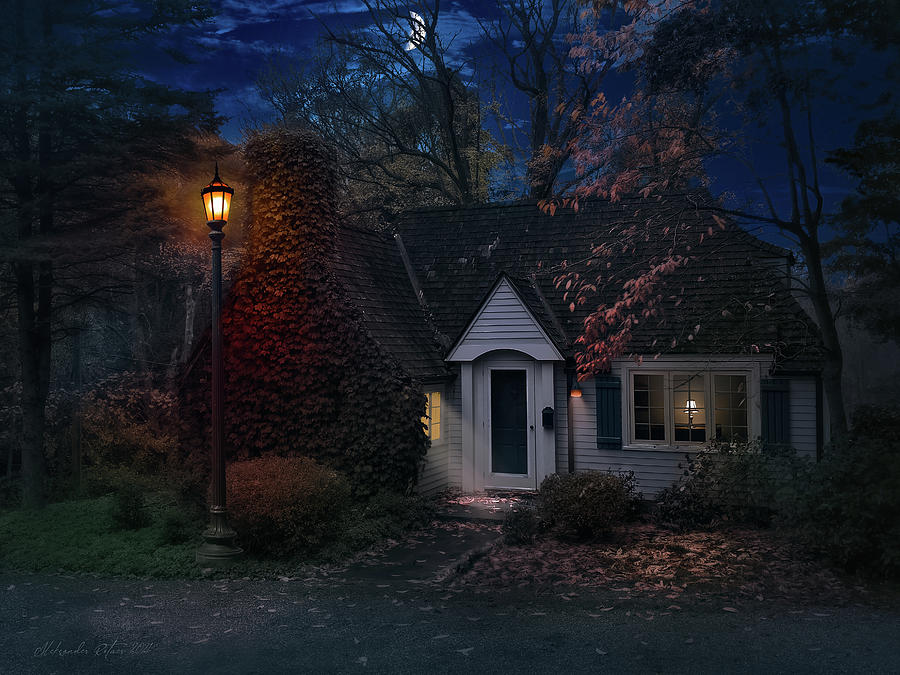 A house by a street lamp Photograph by Aleksander Rotner