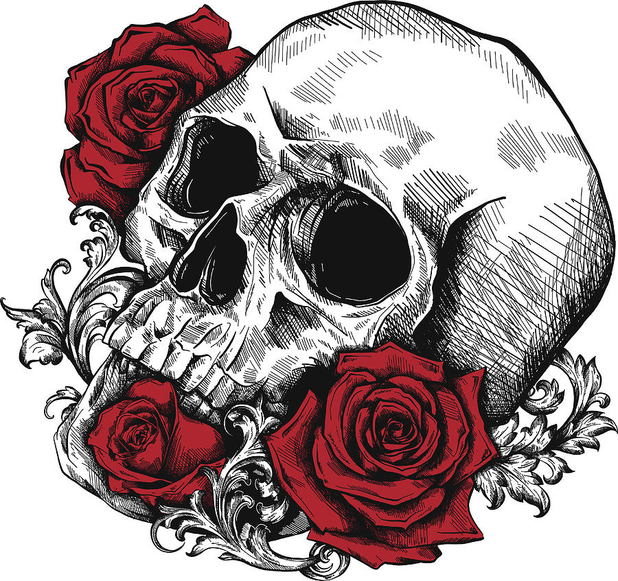 A human skull with roses on white background Digital Art by Dean