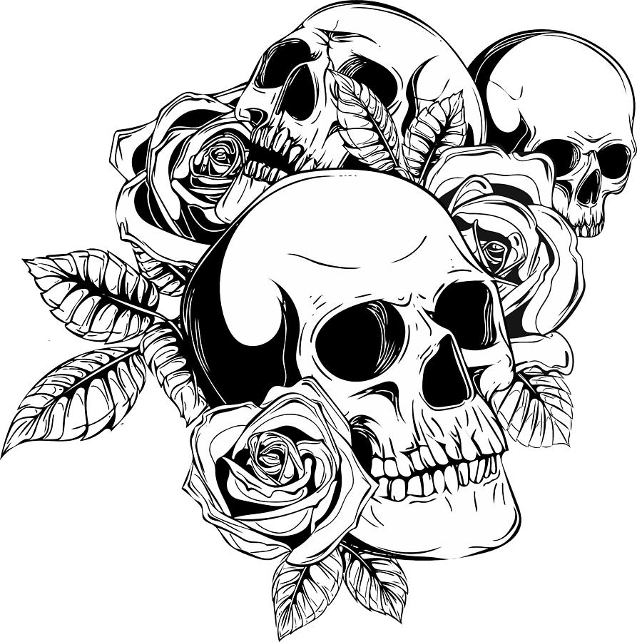 A human skulls with roses on white background Digital Art by Dean ...