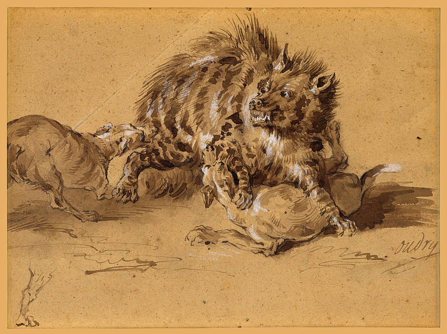 A hyena attacked by two dogs Drawing by Jean-Baptiste Oudry
