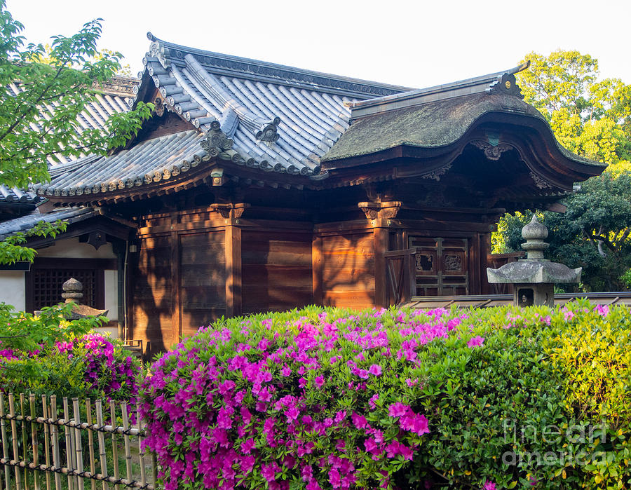 A Japanese Shrine in the Spring Photograph by L Bosco