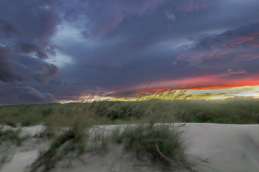 A Jekyll Island Evening Wind Photograph by Ed Williams