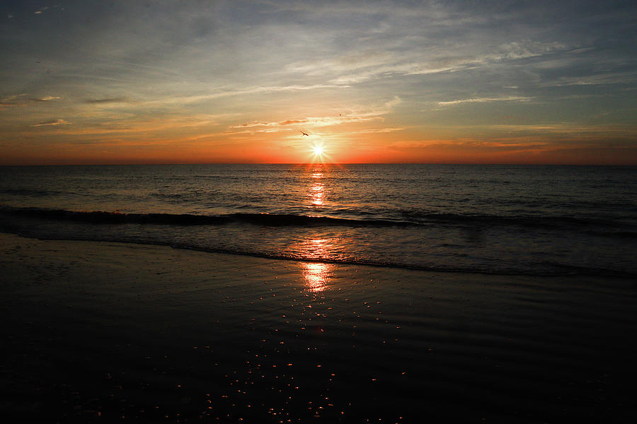 A Jekyll Island Sunrise Shore Photograph by Ed Williams