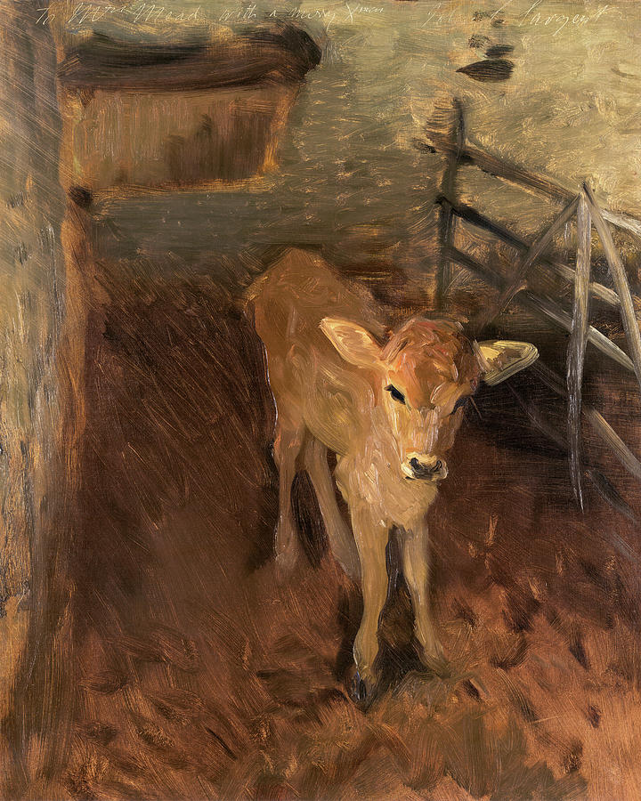 A Jersey Calf Painting by John Singer Sargent