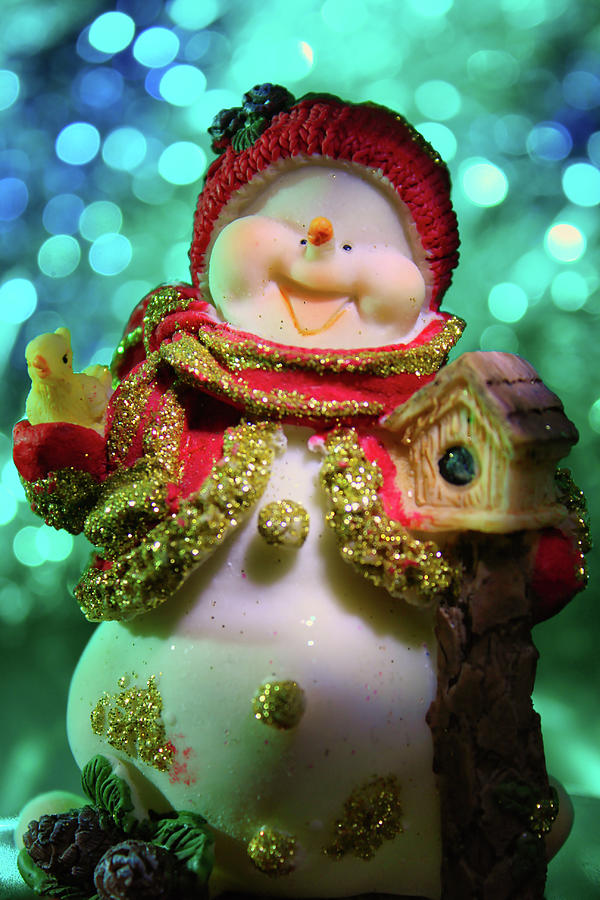 A jolly snowman Photograph by Maria Dimitrova A jolly snowman Photograph by Maria Dimitrova