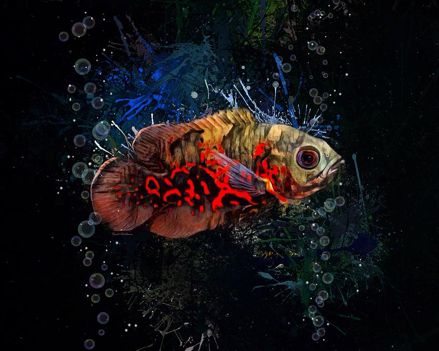 Fish Digital Art - A Juvenile Tiger Oscar Portrait  by Scott Wallace Digital Designs