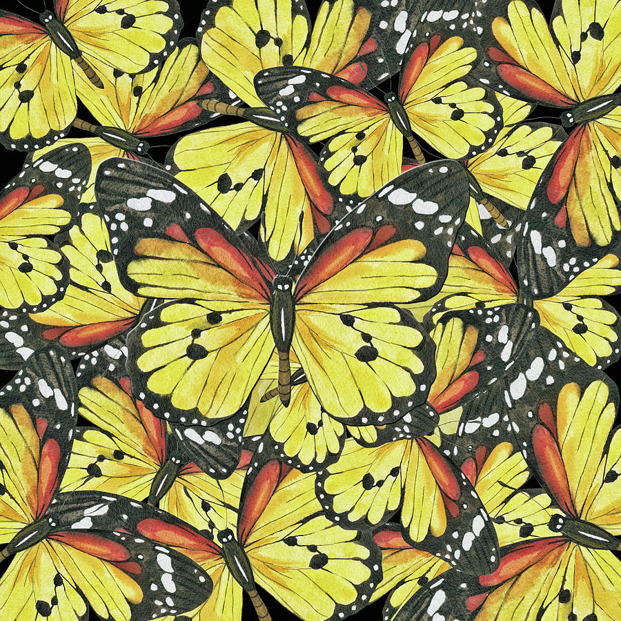 A Kaleidoscope Of Butterflies Digital Art by HH Photography of Florida