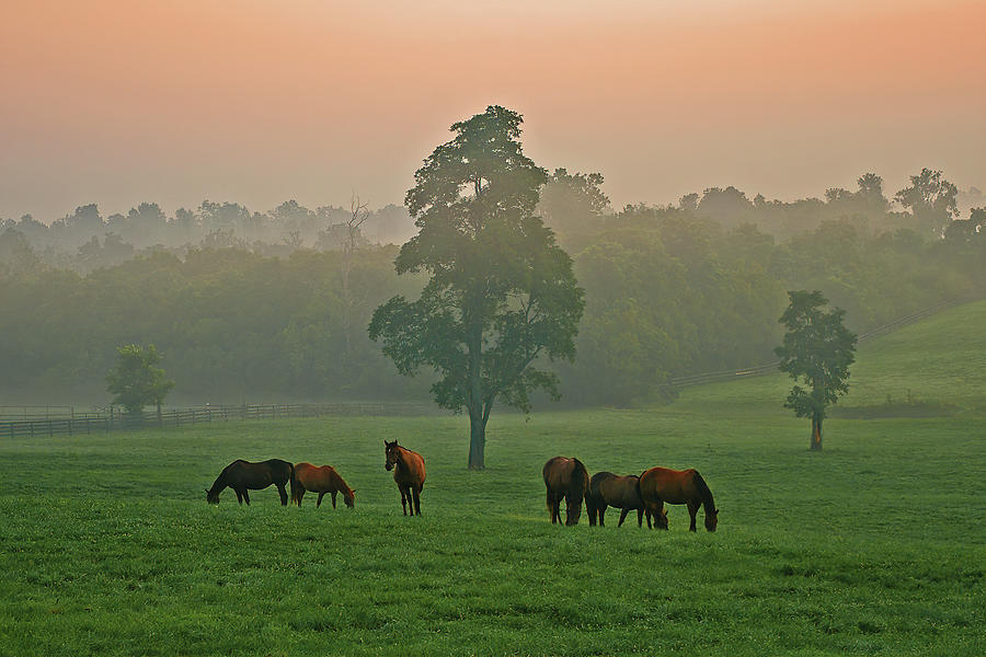 A Kentucky morning. Photograph by Ulrich Burkhalter
