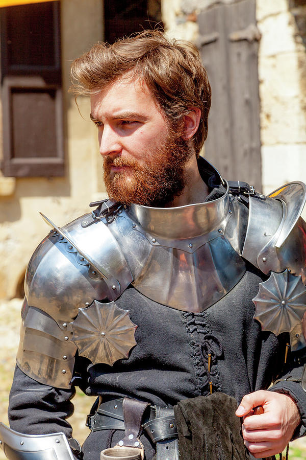 A Knight in Shining Armor Photograph by W Chris Fooshee