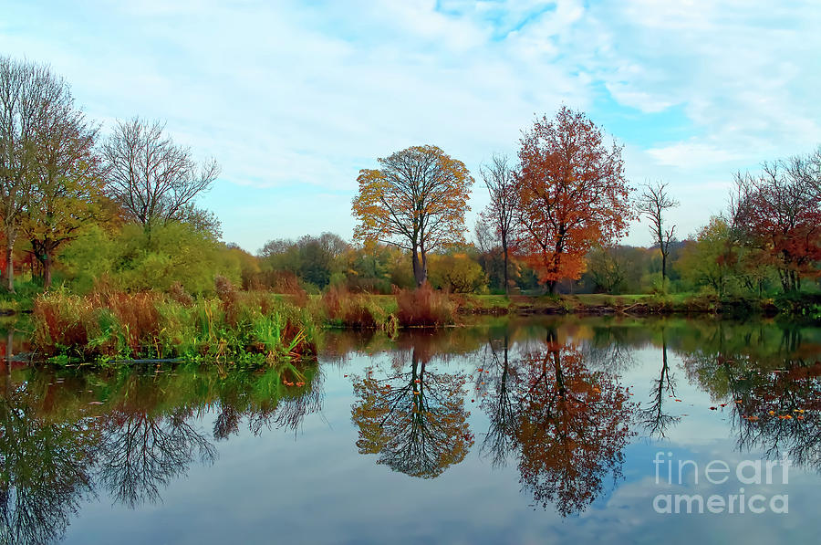 A lake in Alkington Woods, UK Photograph by Pics By Tony