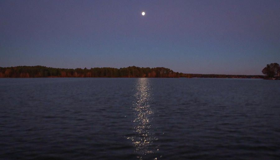 A Lake Moon Look Photograph by Ed Williams - Pixels