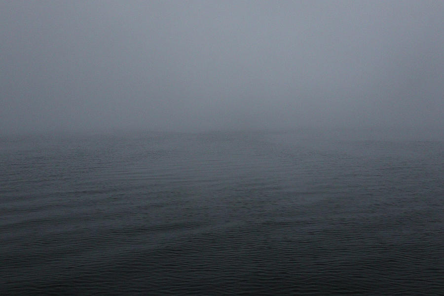 A Lake Sinclair Foggiest Photograph by Ed Williams