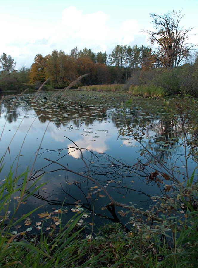 A Lakeside Reflection Photograph by Kathleen Grace