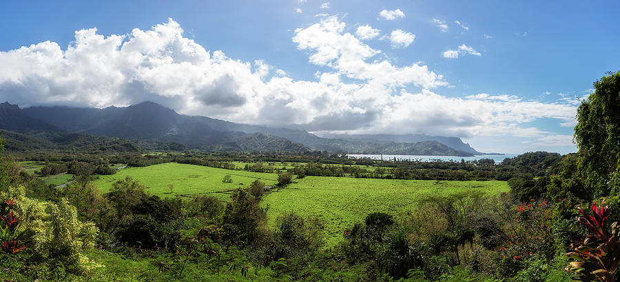 A Land Called Hanalei Photograph by Belinda Greb