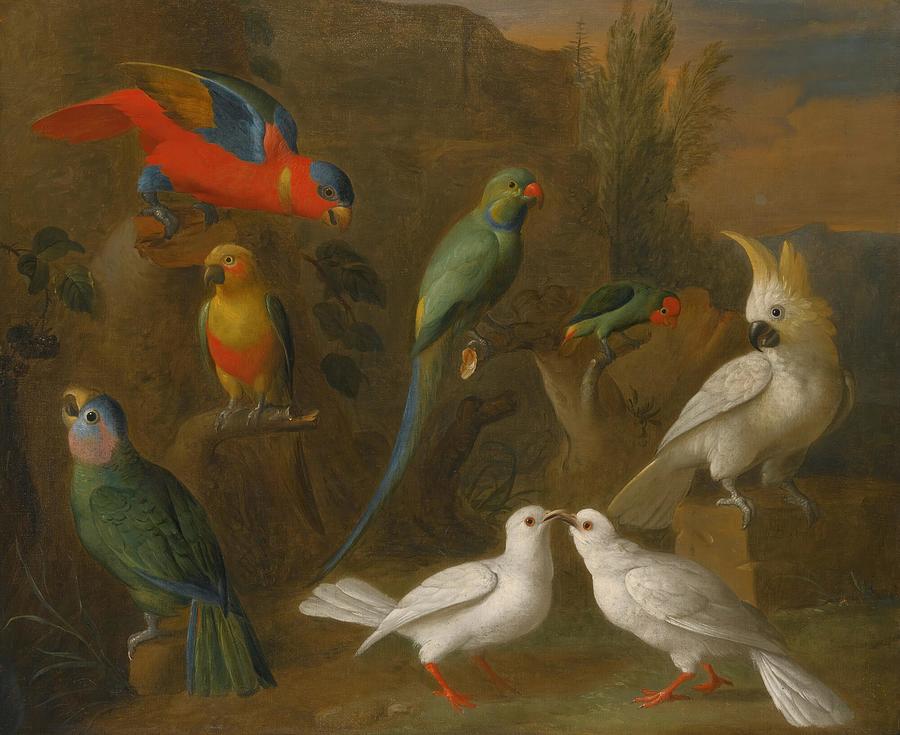 Animal Drawing - A Landscape With Exotic Birds Including Parrots Parakeets Turtle Doves And Cockatoos art by Circle of Tobias Stranover Czech