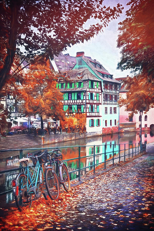 A Leafy Lane In Strasbourg Photograph